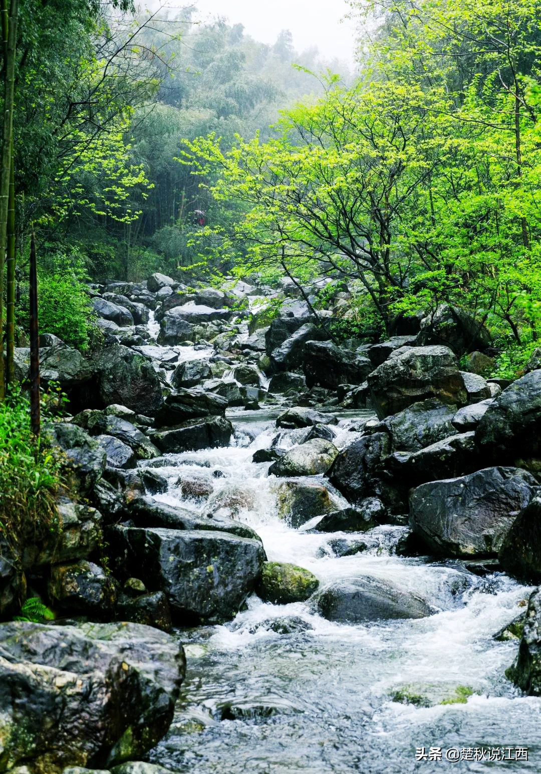 宜山宜水宜春味