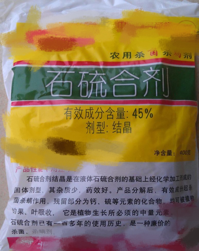 猫咪得了猫癣到底该怎么治？认清猫癣才能更好地治疗！