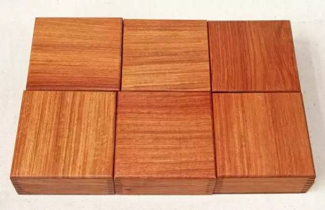 缅甸花梨（大果紫檀）如此消耗，7年后将彻底消失！