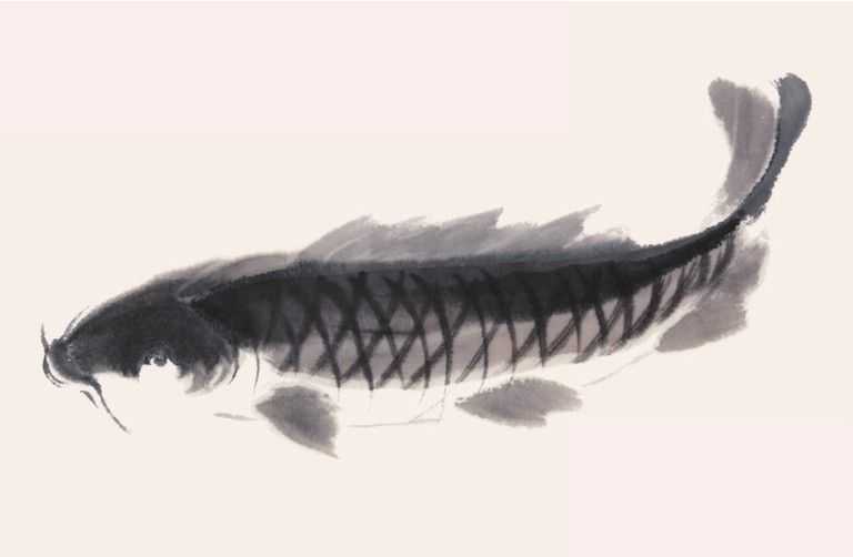 零基础水族的画法：怎么样用双勾发画金鱼鲤鱼？学会几分钟一幅画