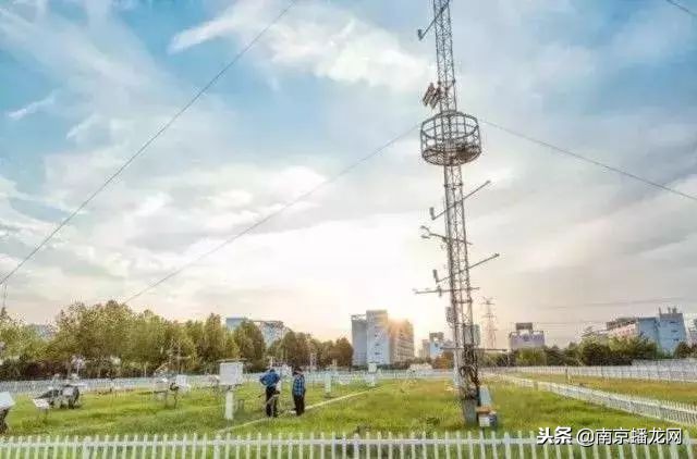 南京信息工程大学，又火了！