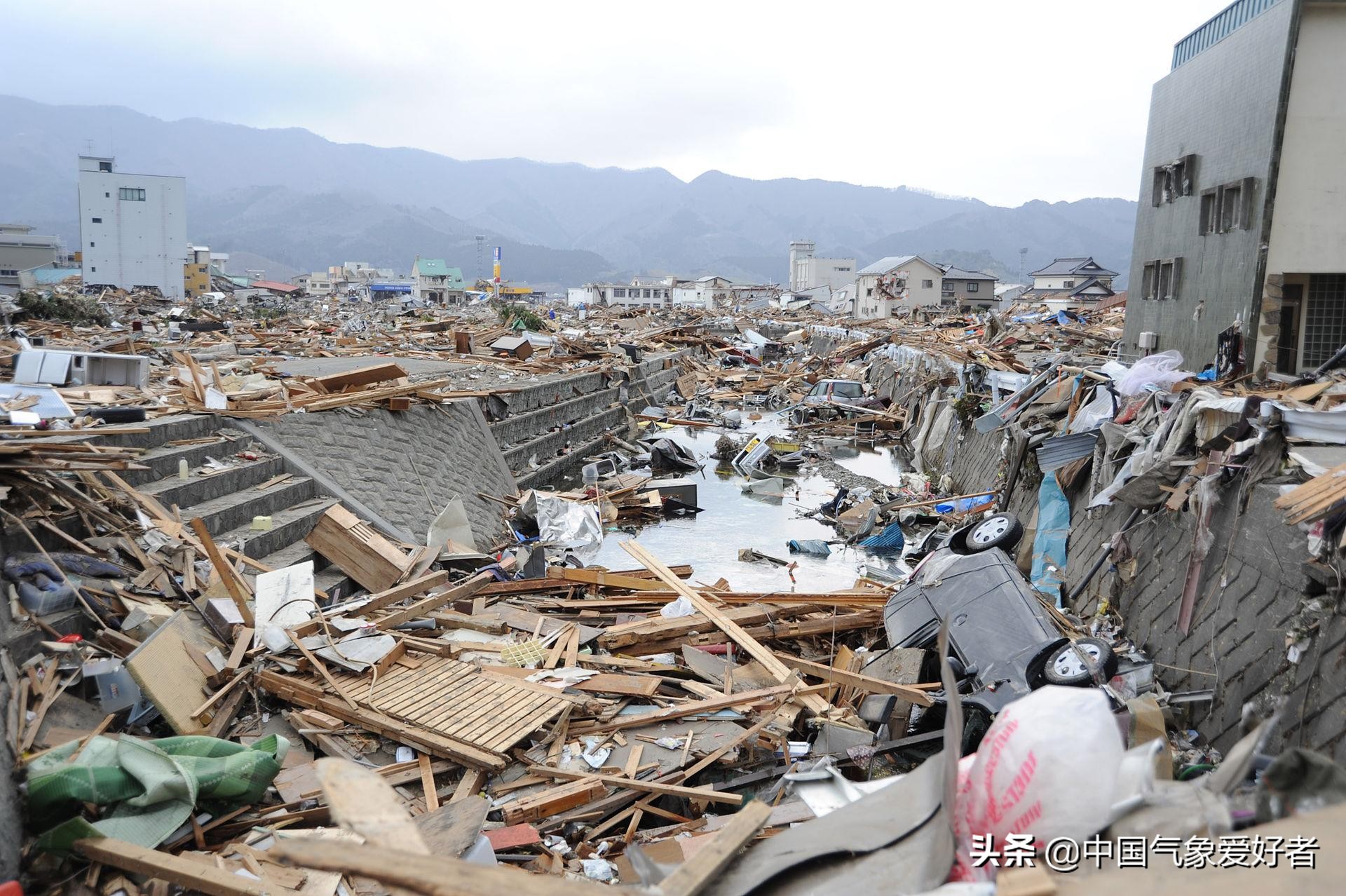 地震烏賊,地震烏賊百科