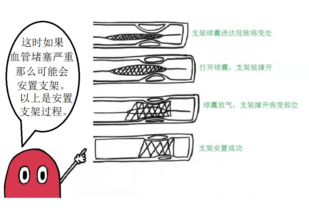 微观视角带您走进“心世界”——来自红细胞的自述