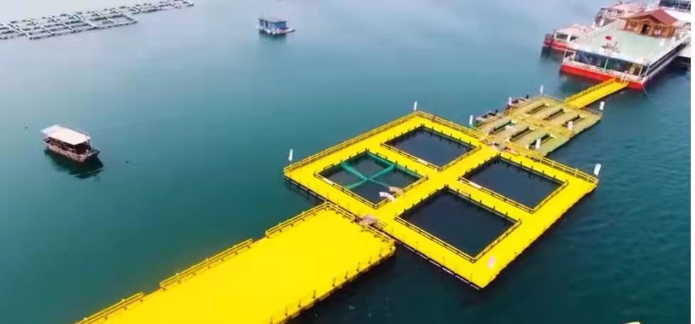 海洋牧场建设——海洋资源利用的一场重大产业革命