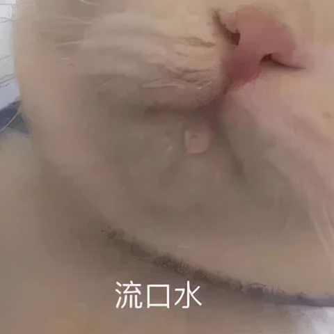 被称作“回回营”的西关，是无数沈阳人的舌尖乐园