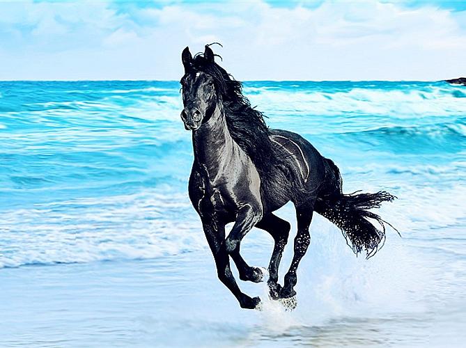 项羽的马什么名字怎么读西楚霸王项羽坐骑乌骓马