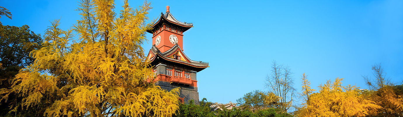 四川大学计算机考研（874 计算机科学专业基础综合）备考经验