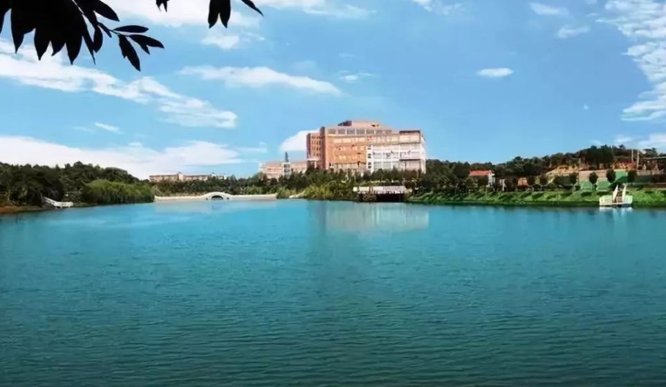 大学简称能有多沙雕，汕头大学学生表示头大，黑龙江学子不敢吱声