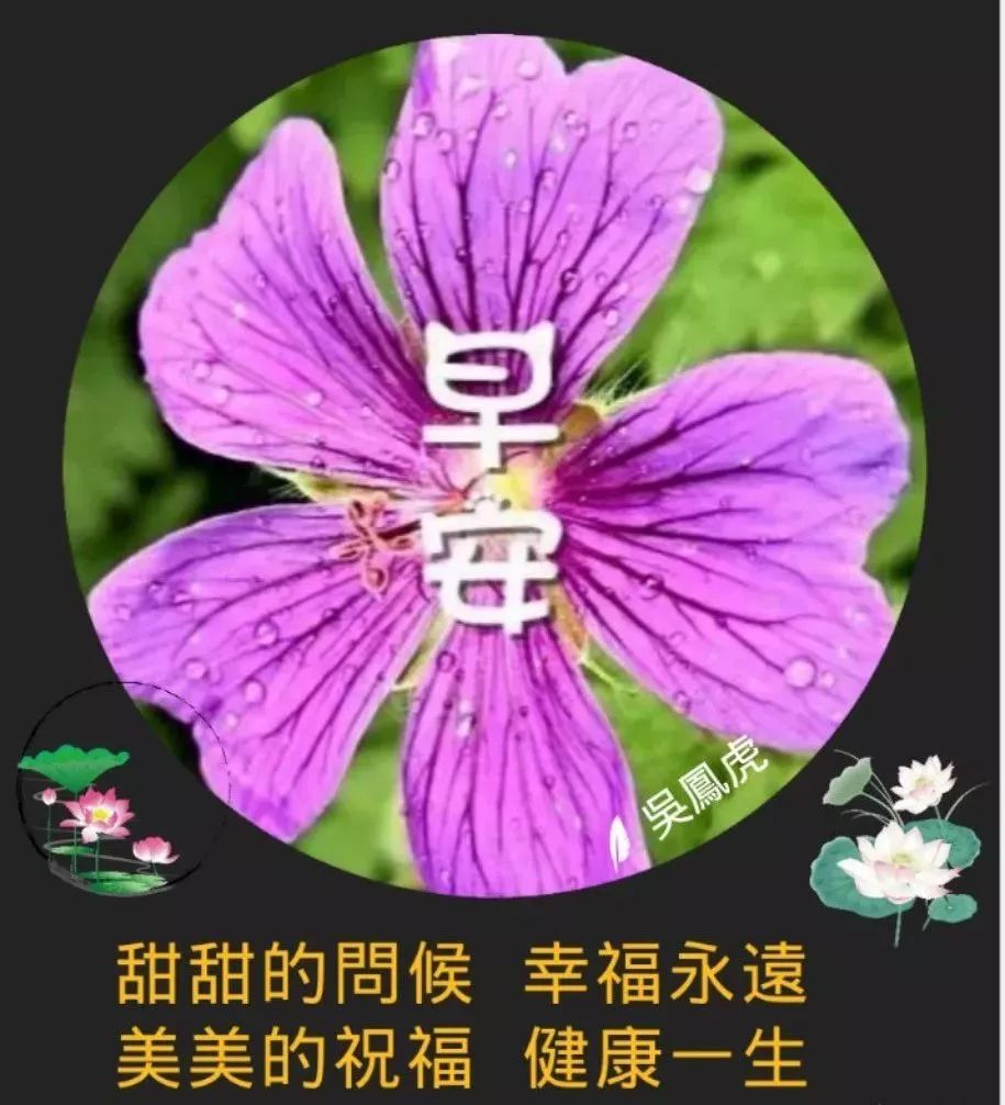 只要用心，生活中的美和喜悦便会不请自来，早安