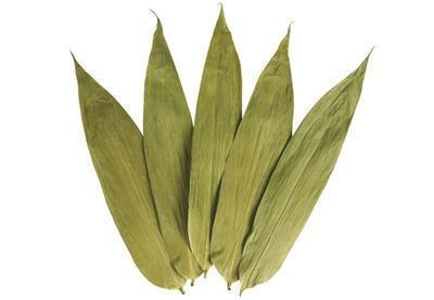 端午百科：年年吃粽子，粽叶是什么植物的叶子？天南海北不一样！