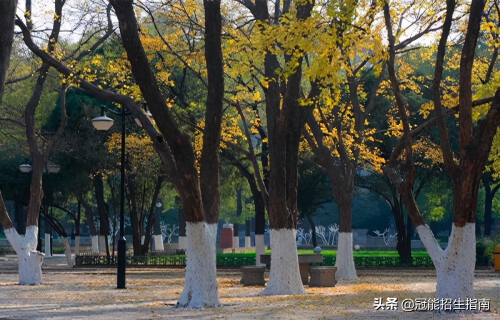 护理出来做护士还能做什么-成都哪些卫校还不错？