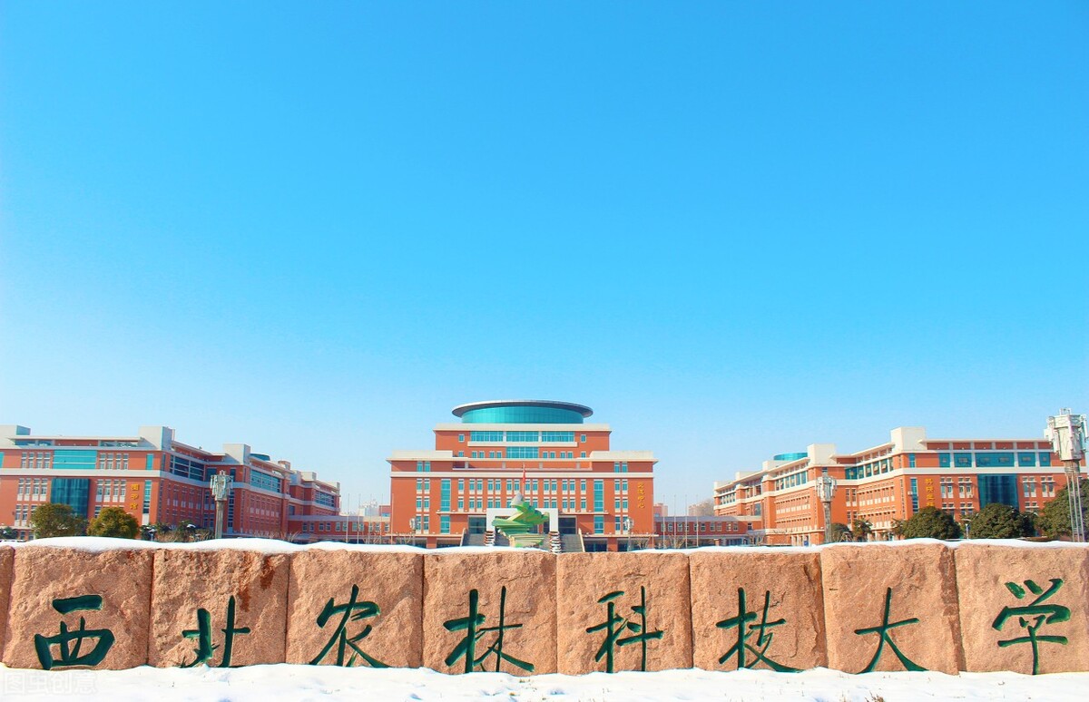 2021高考，985/211大学在广东录取分数排行，广东考生不容易啊