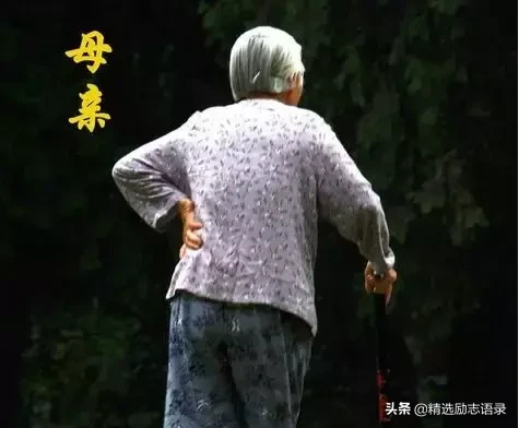 母亲节，献给天下所有的母亲