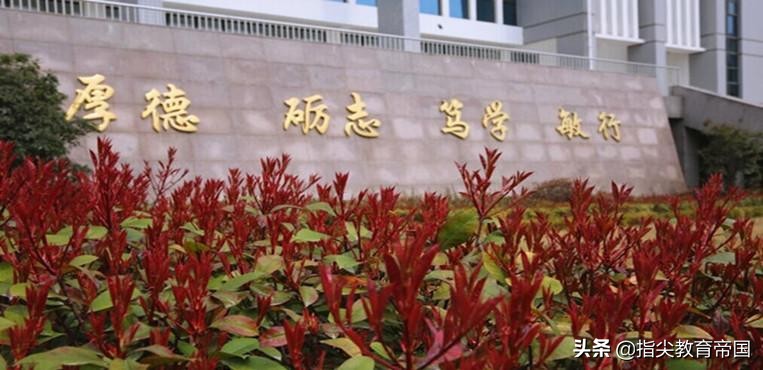 五一专科生深夜备考，学出考研的架势，哪个专科学校学风这么正