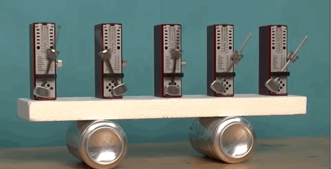 鳗鱼劈断后下半身还能运动，机器人：拿来吧你丨Science子刊封面