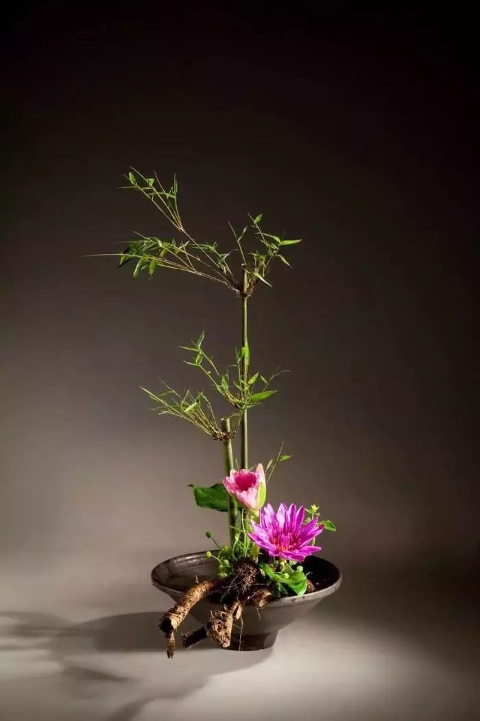 中国传统插花 | 四大类,每一类都又仙又美