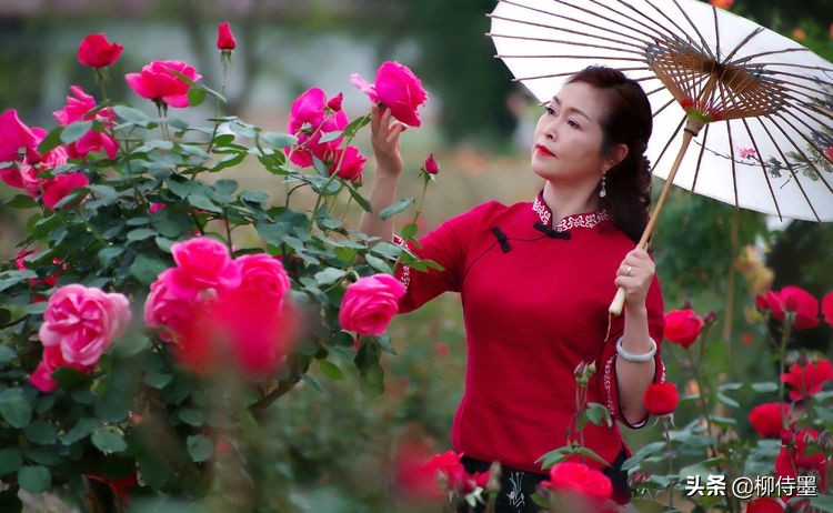优雅风情阿姨照，如何拍摄才好？中老年女性参考5个摄影技巧
