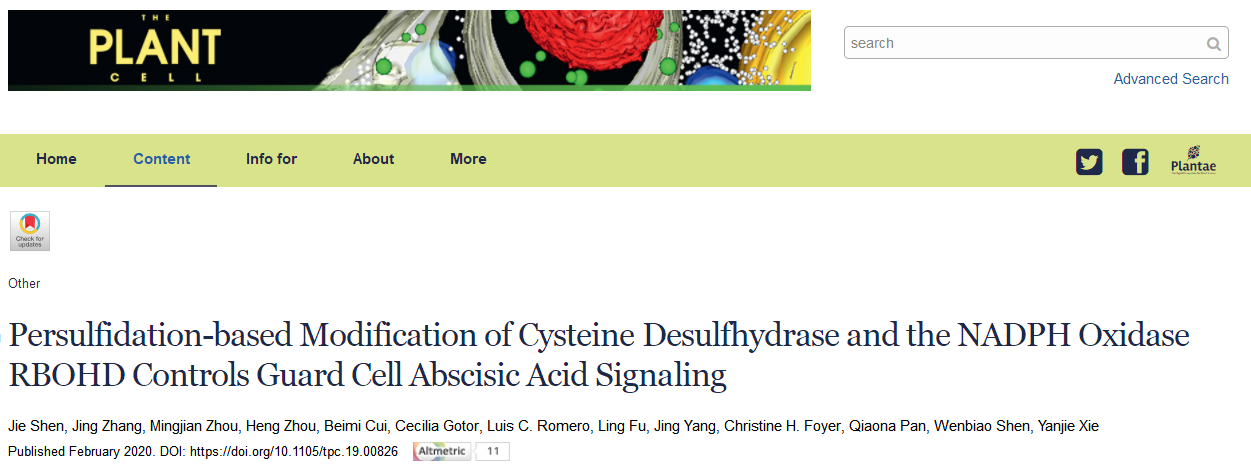 文章解读：“背靠背”南京农大谢彦杰同时解析硫化氢参与ABA信号