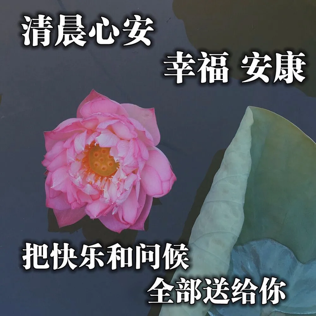 炎热夏季早上好特美表情图片带字，朋友圈很正能量的早安句子