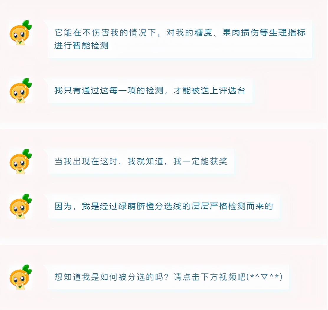 從2人管理的果園中摘下的臍橙，是如何斬獲臍橙質量“金獎”的？