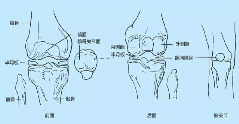 深蹲膝盖咔咔作响怎么办？2个动作解决你的弹响问题