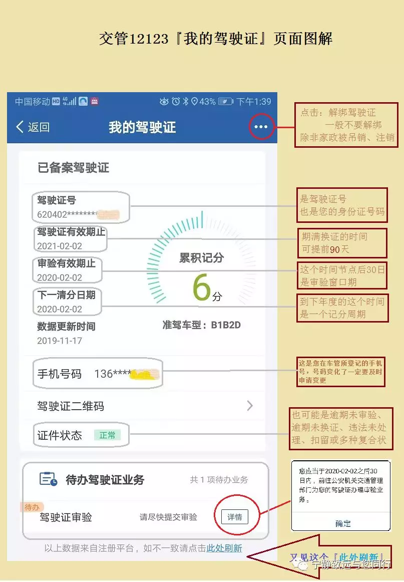 驾驶证查询网,驾驶证查询网上查询系统