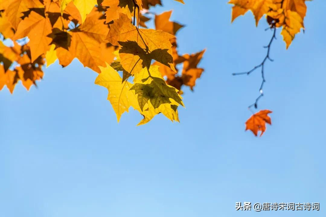 今日立秋，古诗词里与夏天告别