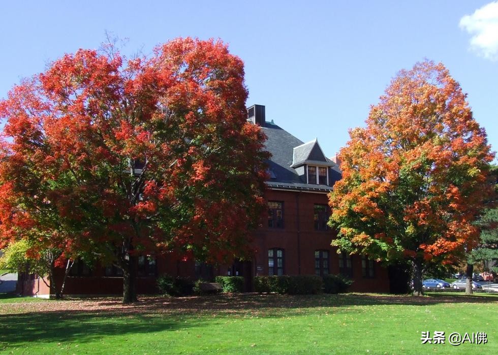 美国毕业生收入最高的100所大学