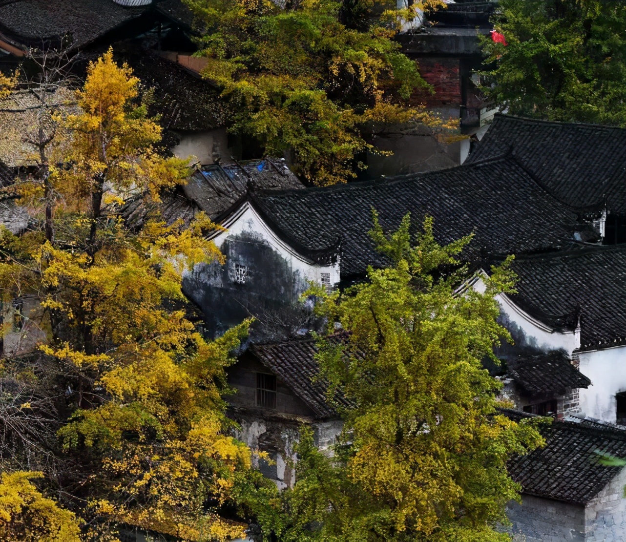 冬游广西畅游山水快意人生（自驾游线路、民宿篇）