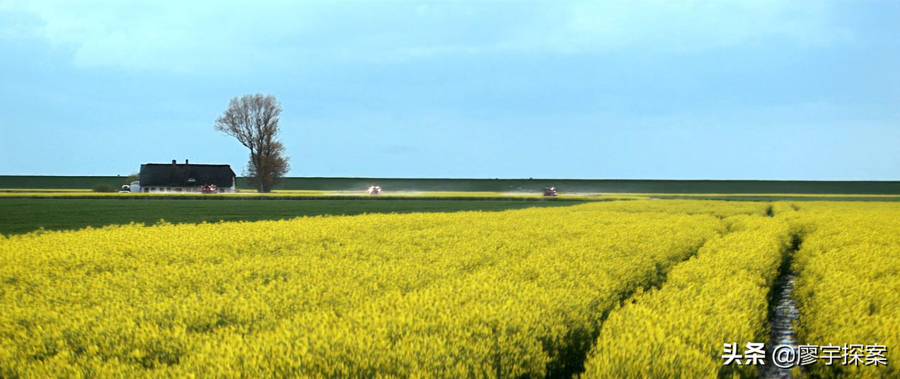 《悬案密码》4部曲：美女囚禁，贵校凶案，漂流瓶求救，墙中干尸