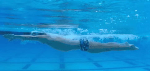 不克服这三个腿姿错误，蛙泳怎么会游得快？