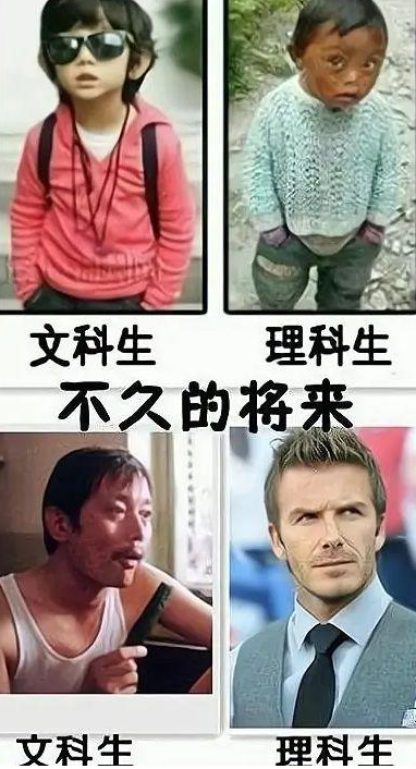 毕业后才发现，文科生和理科生差别这么大，幸好当初没有选错