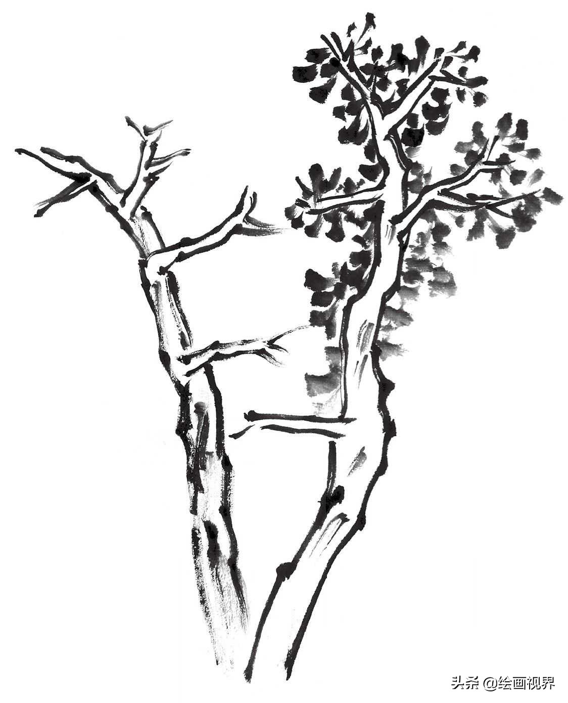 画国画树不会画？教你常见树的画法，简单易学，收藏起来临摹学习