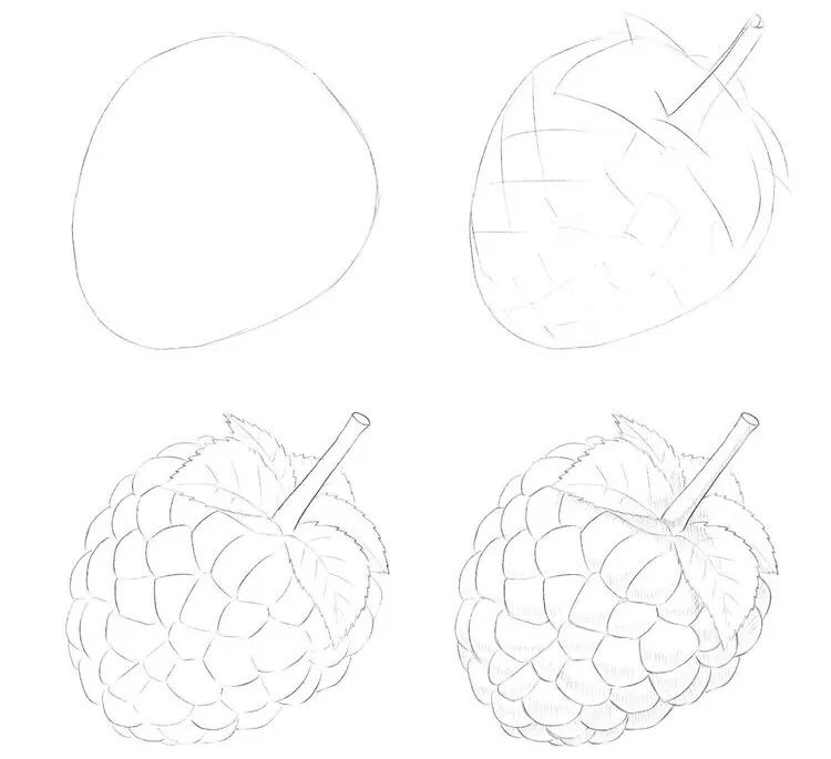 素描小教程9例，零基础小白跟着学画
