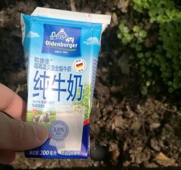 盆里倒一瓶牛奶，虫子全赶跑，叶子油绿发亮还茂盛！