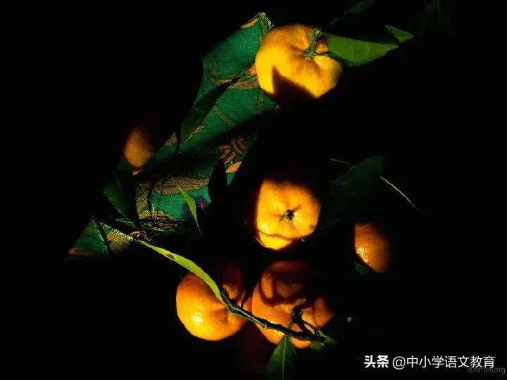 (每日一课)文言文学习:《唐雎不辱使命》带翻译和鉴赏!