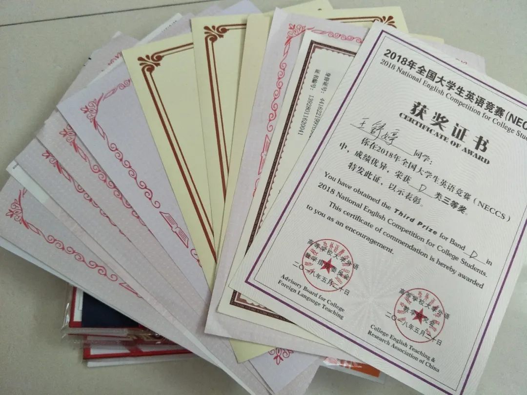 专业介绍｜广州华立科技职业学院国际经济与外语学院