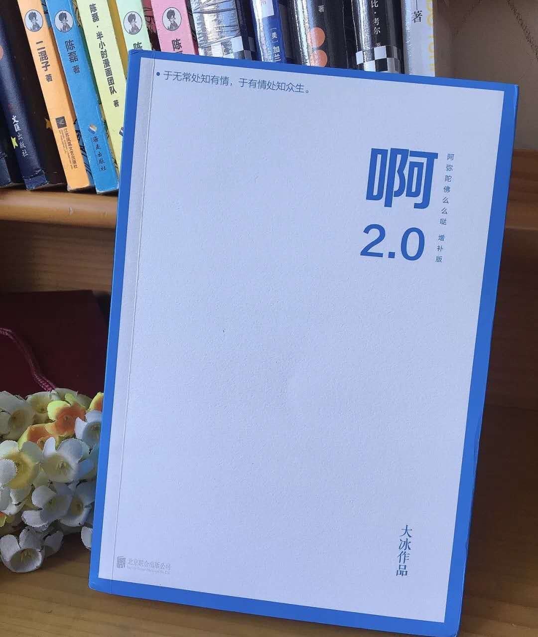 大冰老谢的故事简介200字 