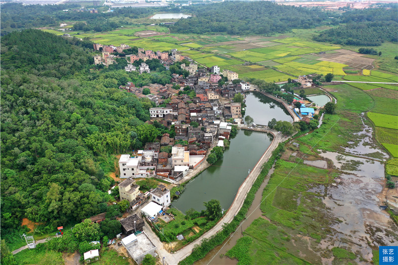 阳江那蓬村探访岭南国画大师关山月故居：关山寄明月，田园忆乡愁