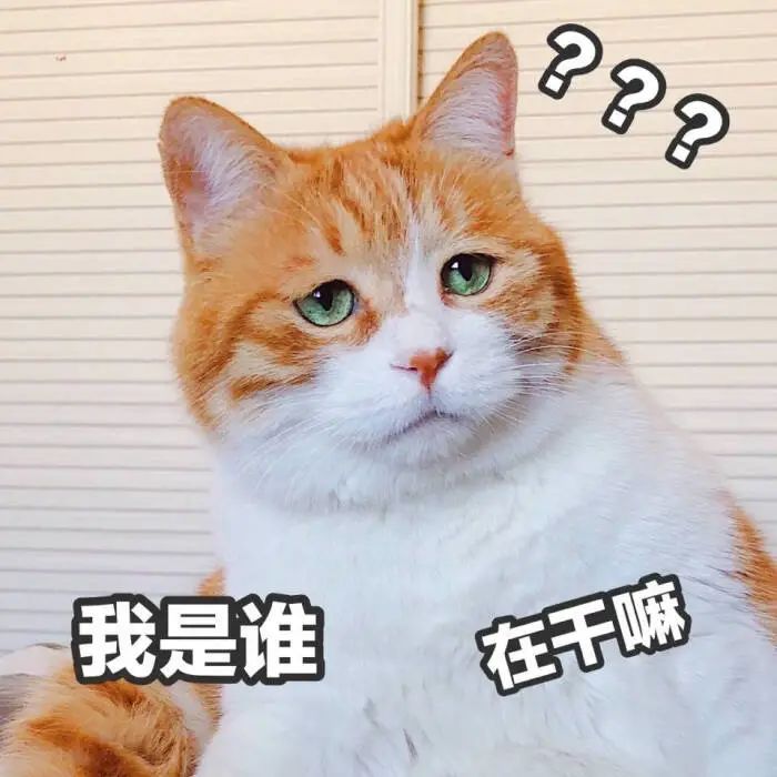 Wind如何发音？告别Coco等常见英文名，探索更多好听的英文名字