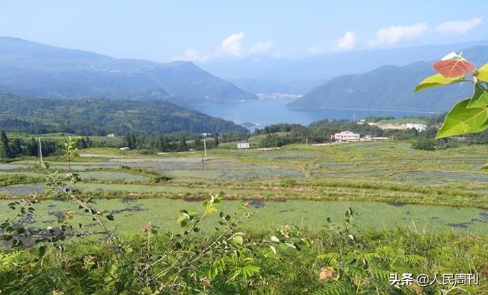 “川农大”的扶贫路