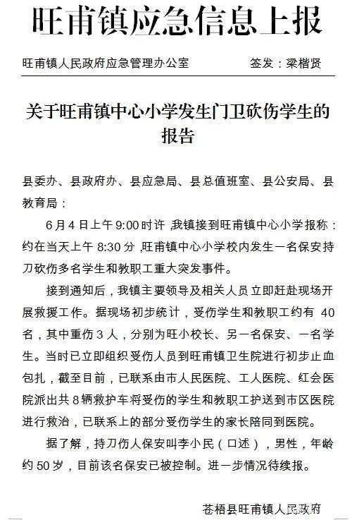 突发！一小学发生砍人事件致39伤，行凶者身份披露
