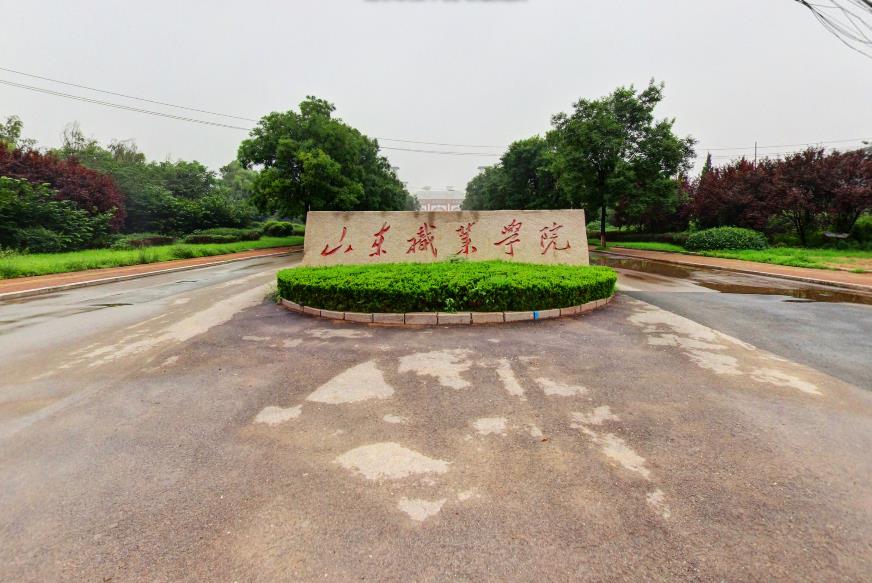 山东十强高职排名，这三所高职进入前三强，山东职业学院排名第二