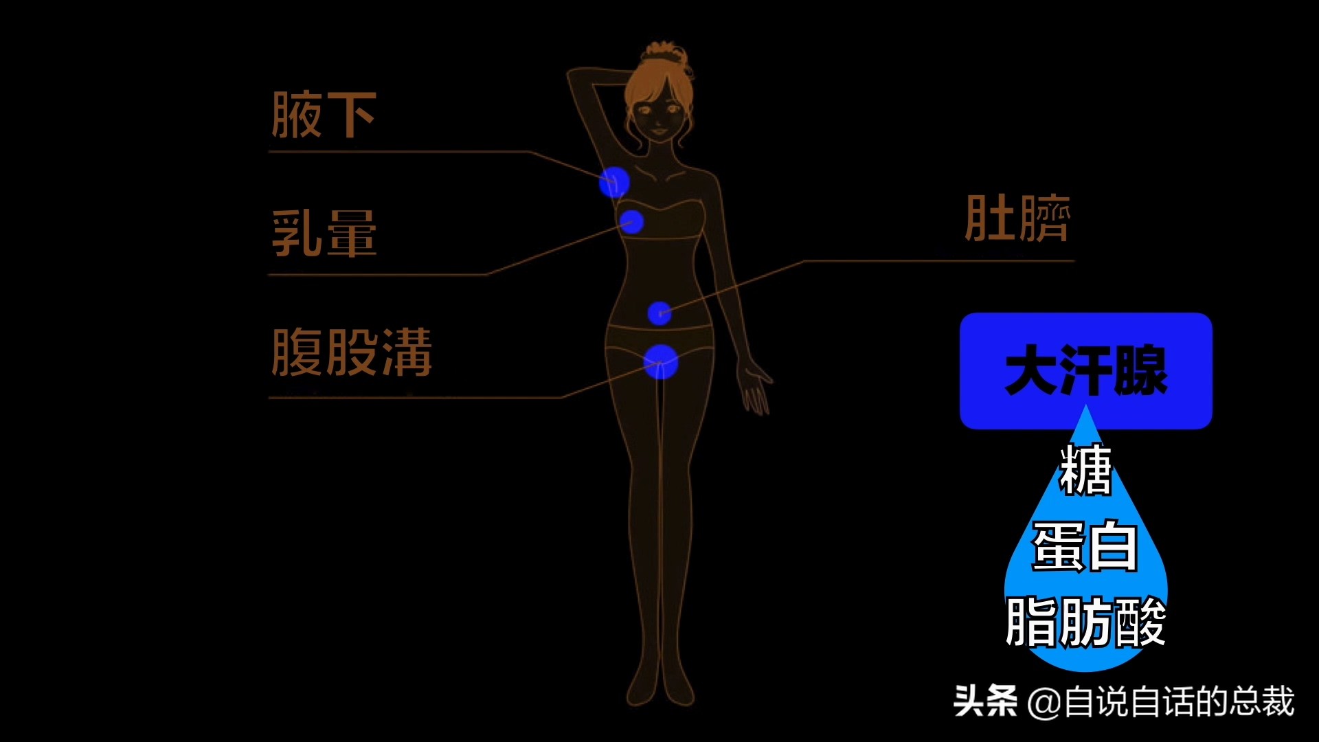 当你爆发过敏性鼻炎时，这就是你体内发生的故事