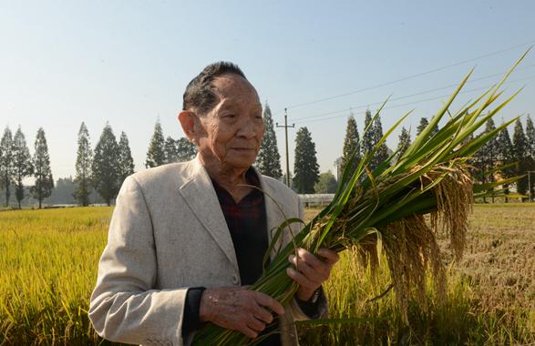 袁隆平：用一颗种子改变世界，身家千亿，却甘愿做个平凡的种田人