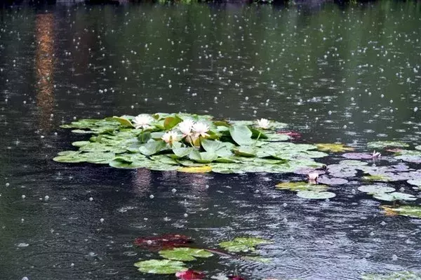 寻一处静谧，赶一场春雨