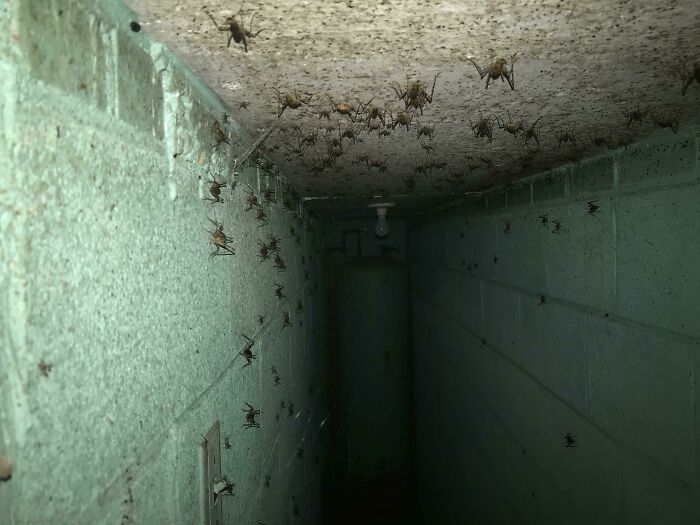 48个让人感到毛骨悚然的真实照片