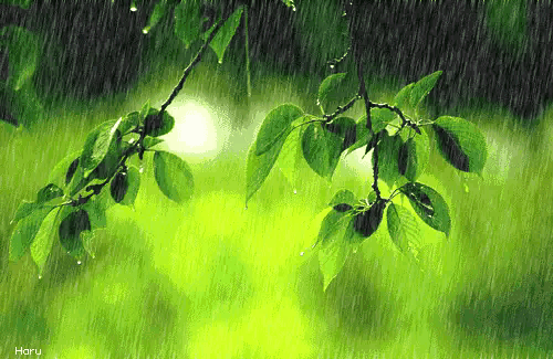 唐诗宋词中的小雨描写：细雨如丝润万物