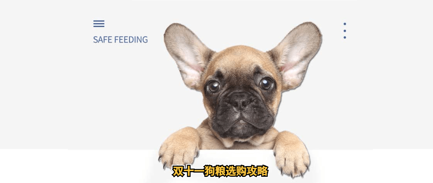 天粮集团，11.11爆品清单大公开，让爱宠享受专属惊喜。