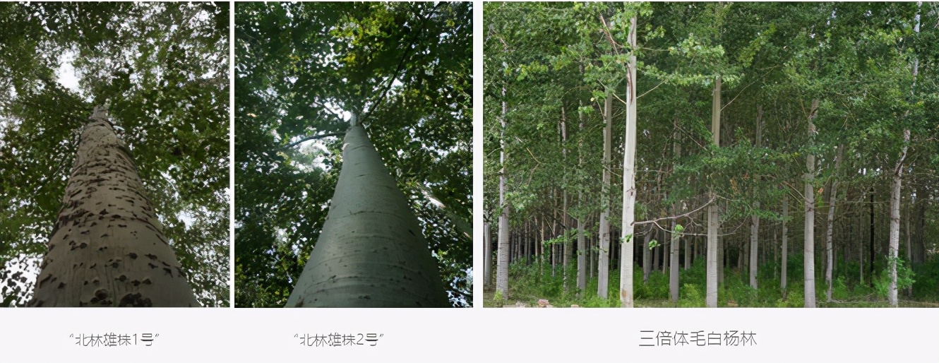 央视报道！世界首创！北京这所“双一流”高校获国内外高度关注！